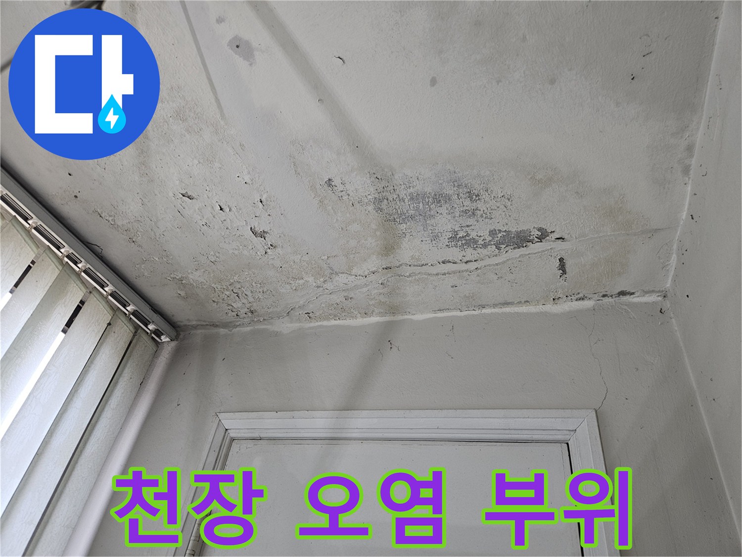 누수로 인해 넓게 퍼진 천장 마감재의 변색과 곰팡이 흔적