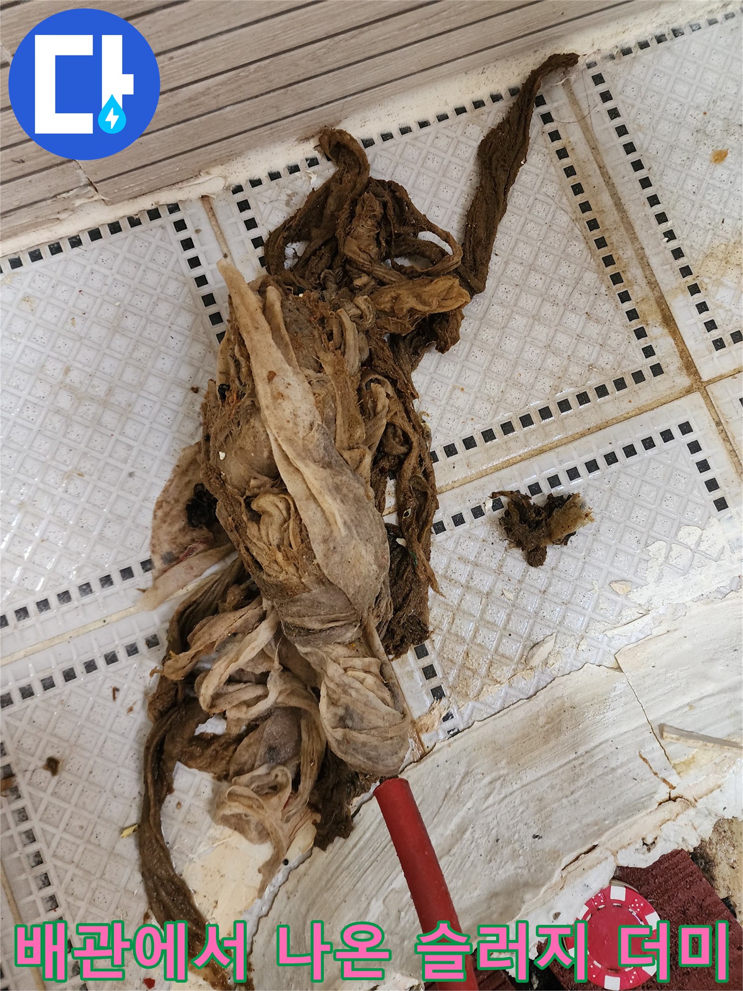하수구 내부에서 끌어올린 머리카락과 오물 덩어리