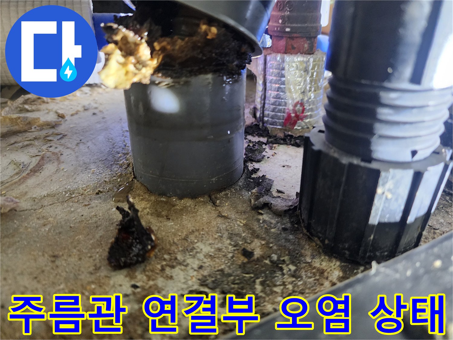 기름-찌꺼기로-가득한-싱크대-하수구-연결-부위-상세-사진
