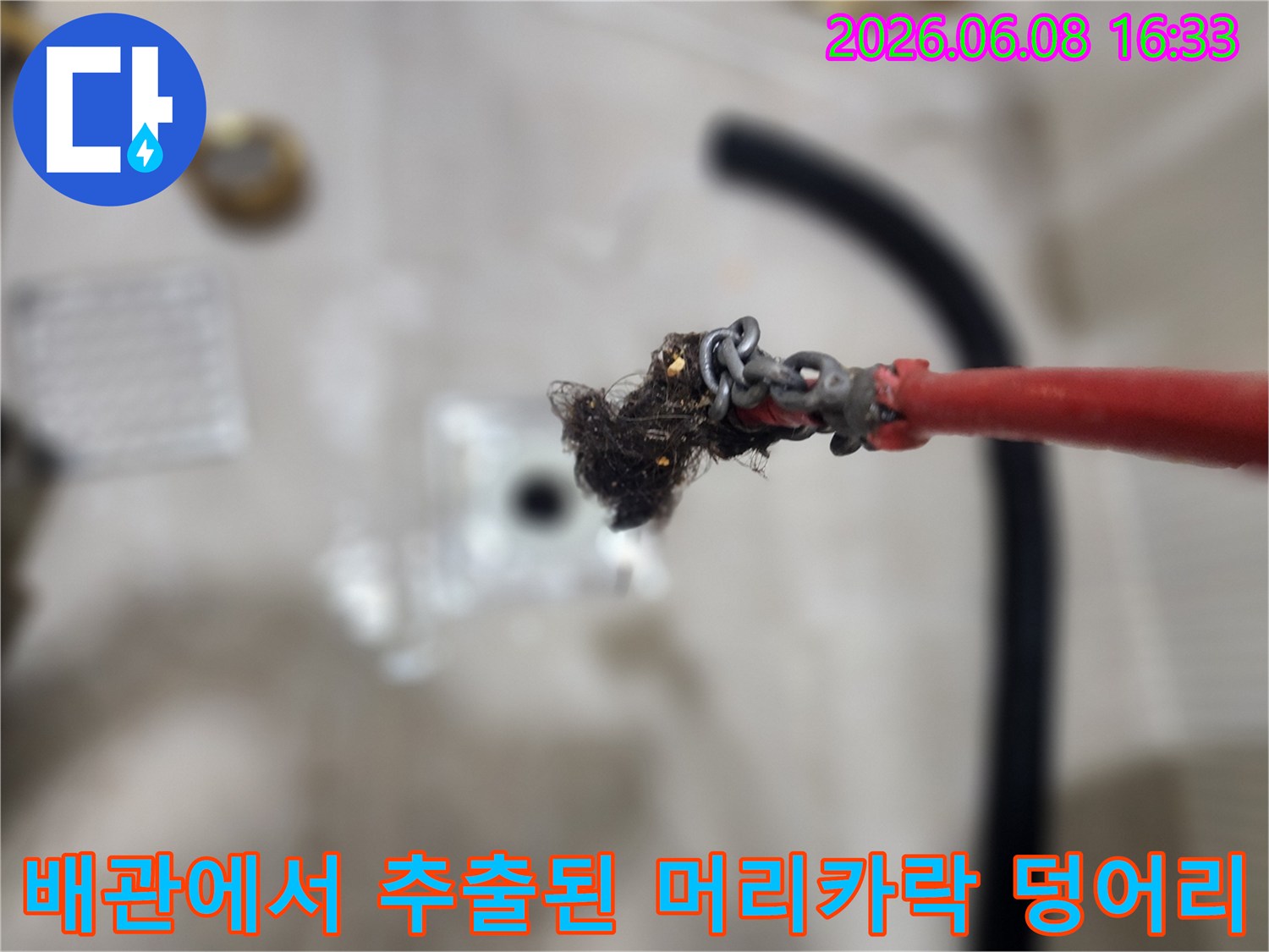 배관 스케일링 장비에 걸려 나온-머리카락과 슬러지 뭉치
