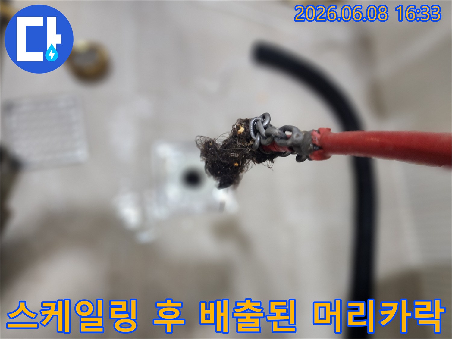 스케일링 작업 결과-배관에서 긁어낸 머리카락과 오물