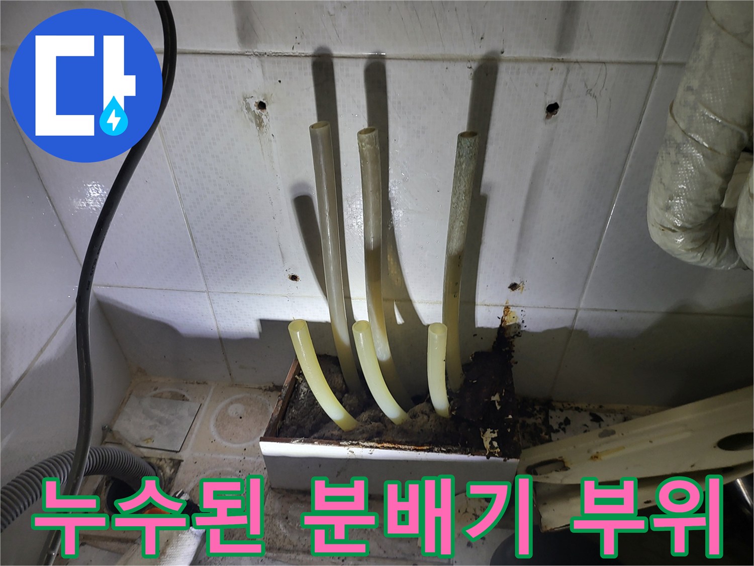 하얀 가루가 맺힌-분배기 연결 부위 모습