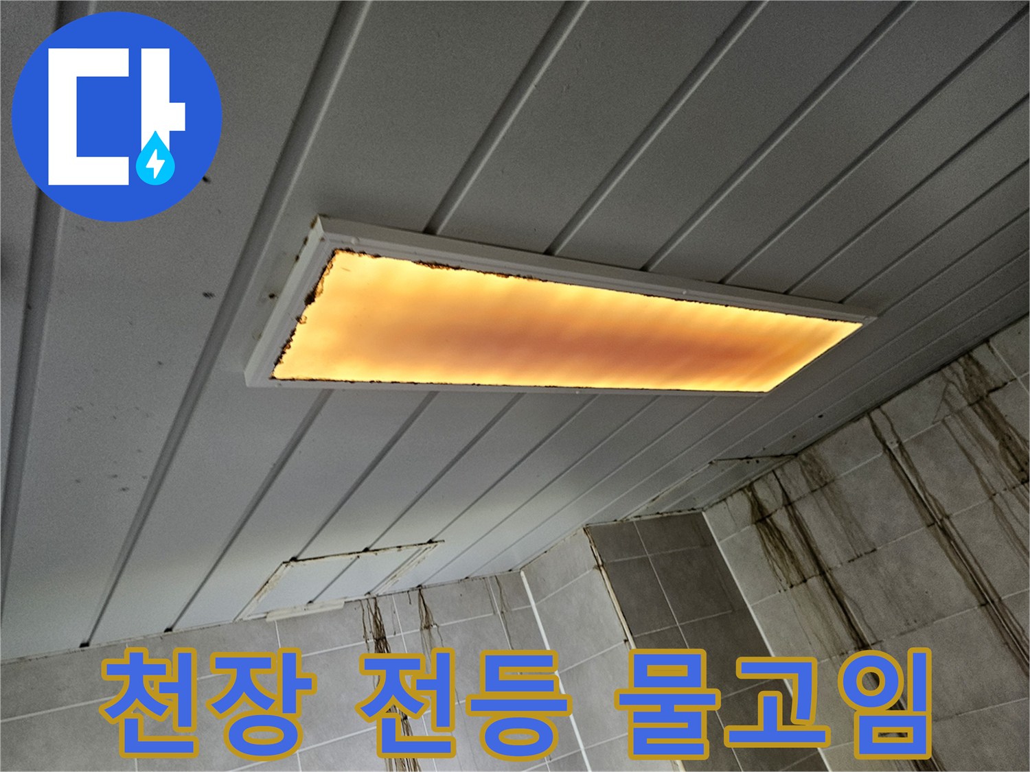 천장-매립형-조명-내부-물고임-현상