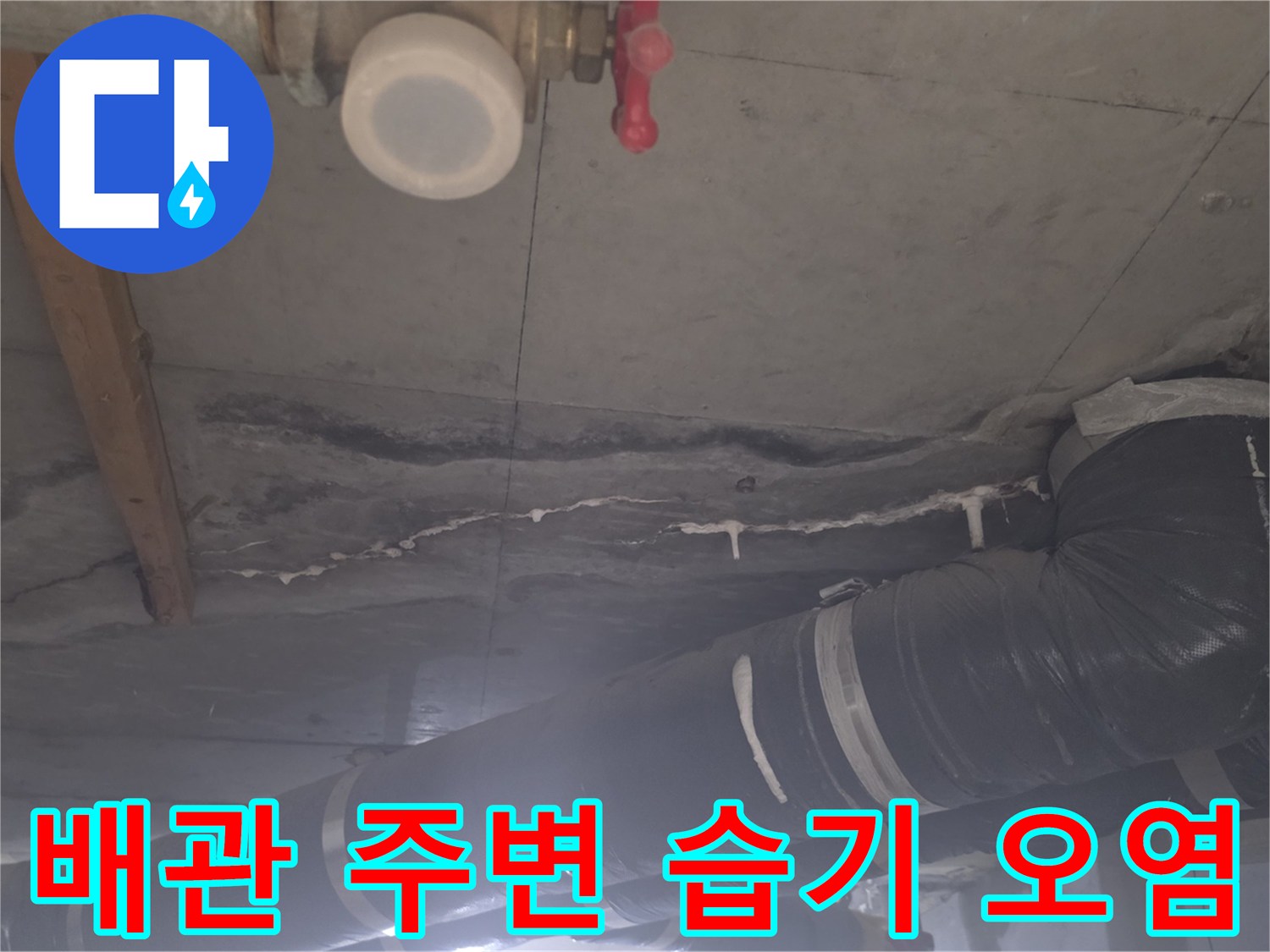 천장-내부-배관-하단의-젖은-콘크리트