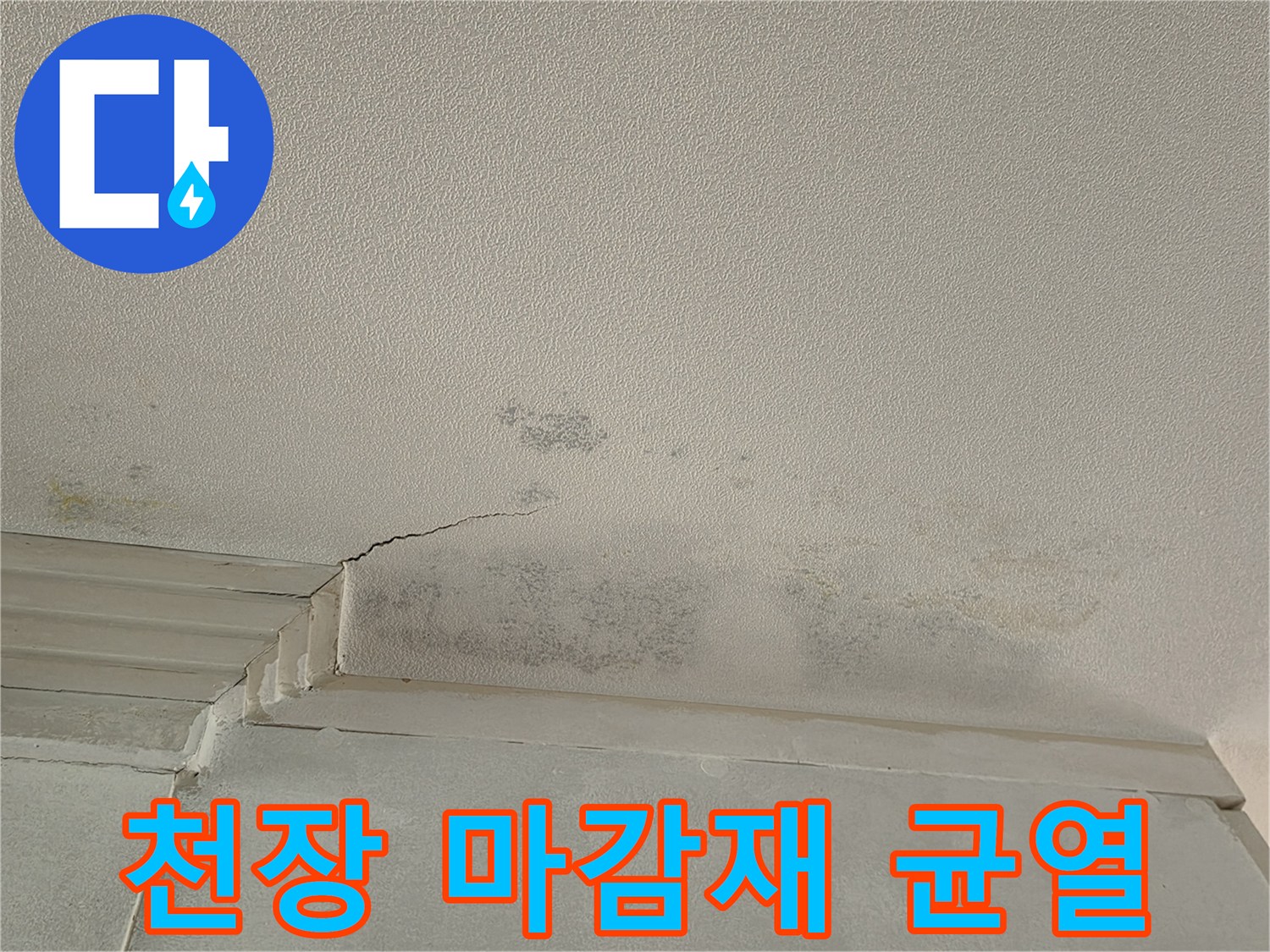 천장-마감재-부근의-물샘-흔적과-균열-상태
