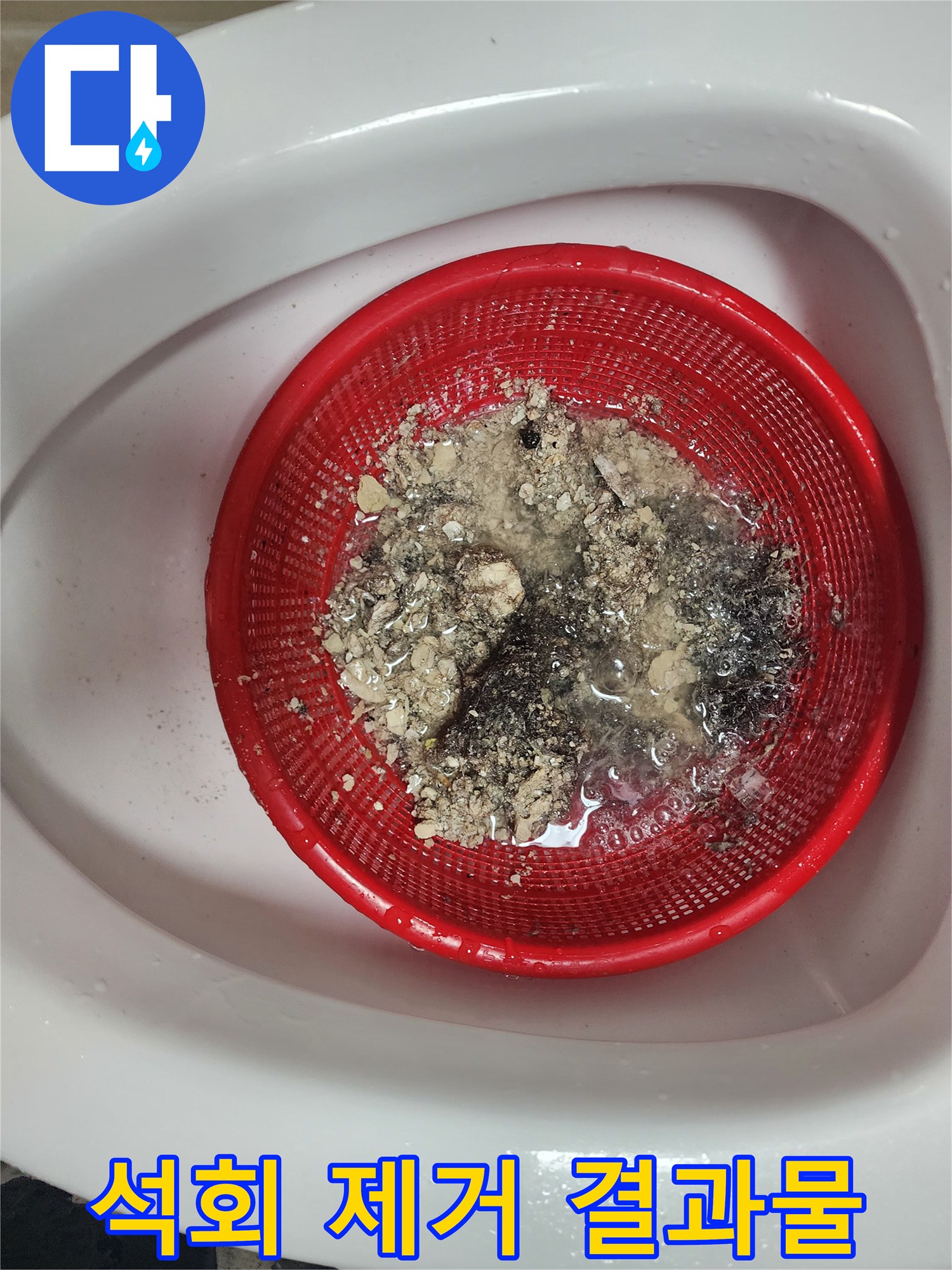 배수구에서 뽑아낸 하얀 석회 덩어리와 잔여물