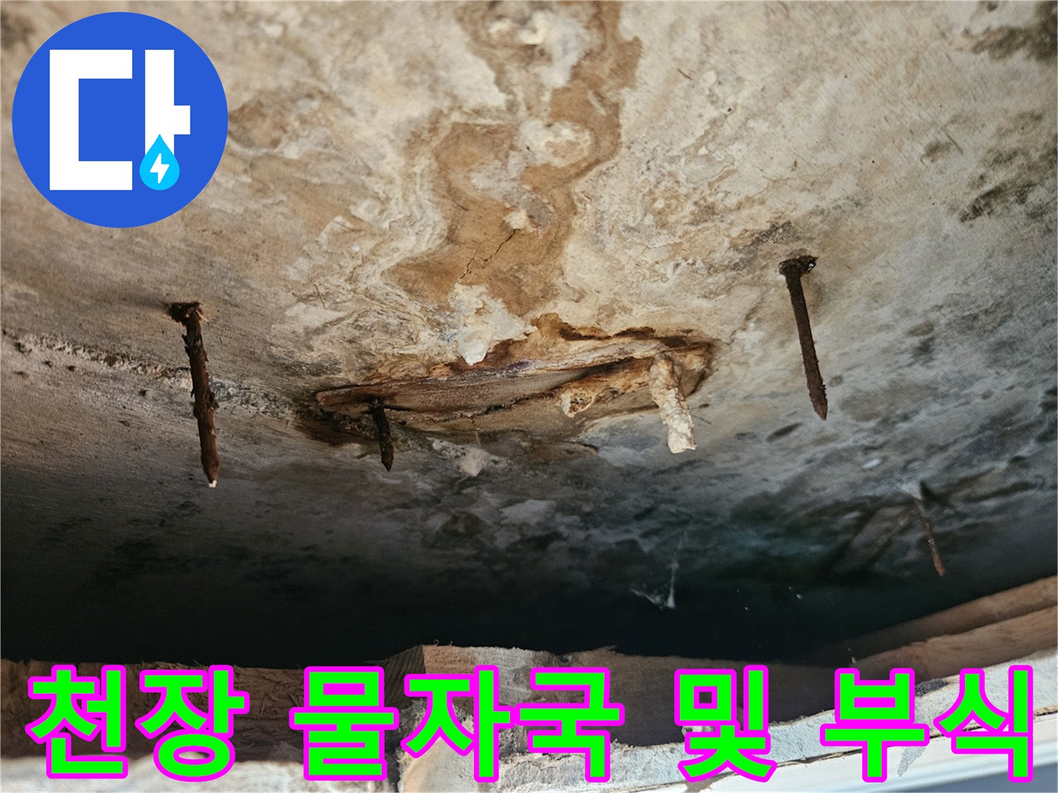 물샘 현상이 나타난 천장 마감재의 상세 모습
