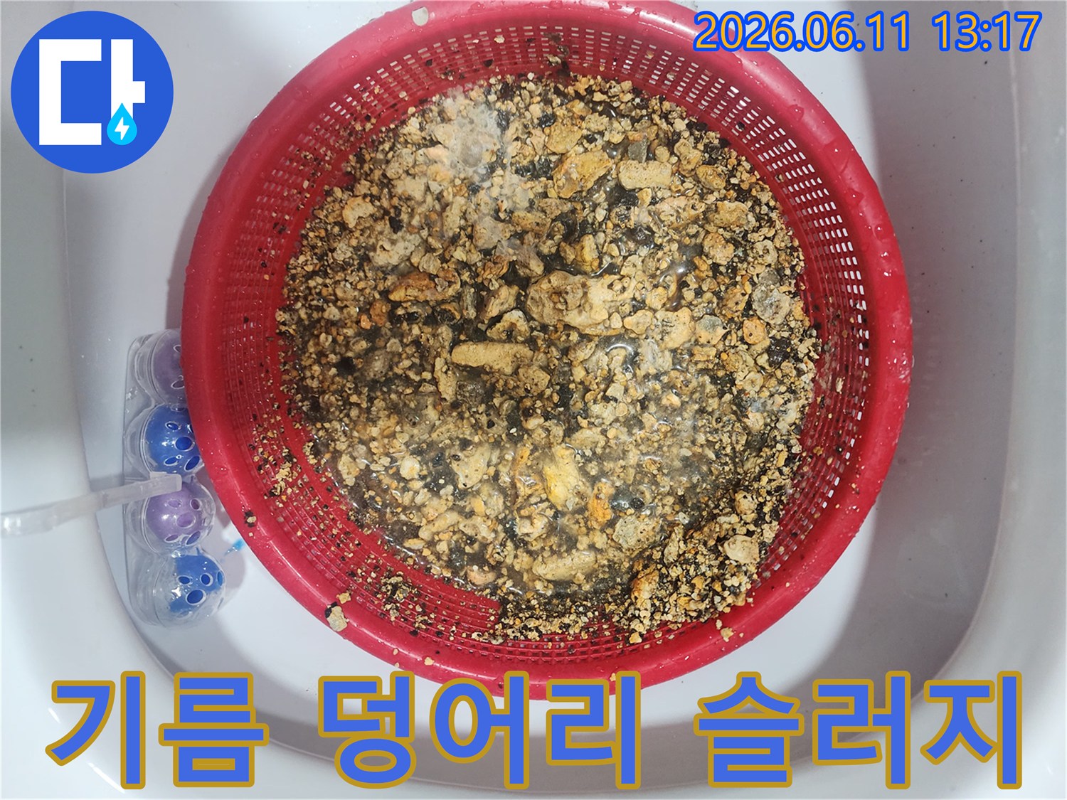 채반에 걸러진 싱크대 배관 내부의 기름 슬러지 조각들