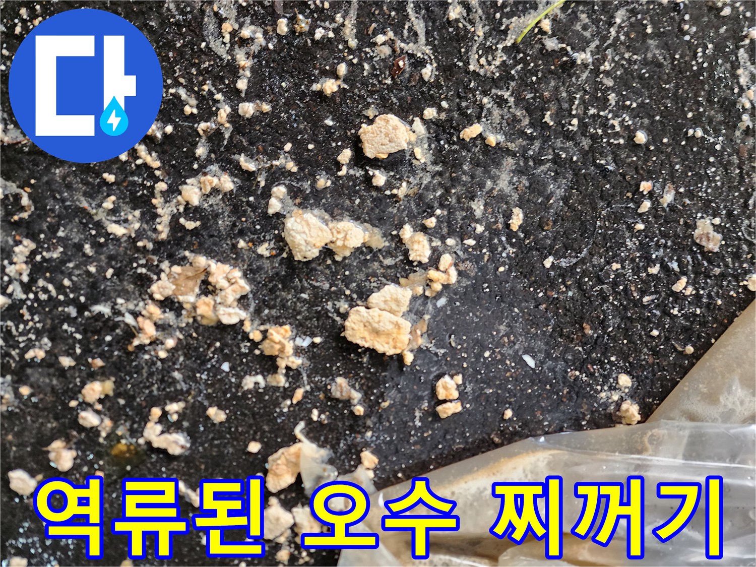 주차장-바닥에-흩뿌려진-오수-슬러지-흔적