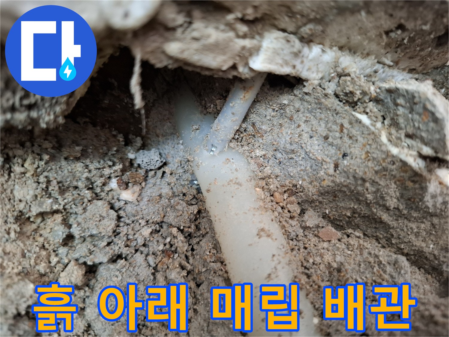 배관 누수 부위를-찾아낸 굴착 현장