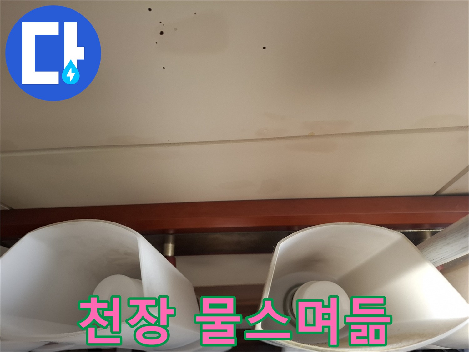 천장-면에-나타난-불규칙한-물샘-자국