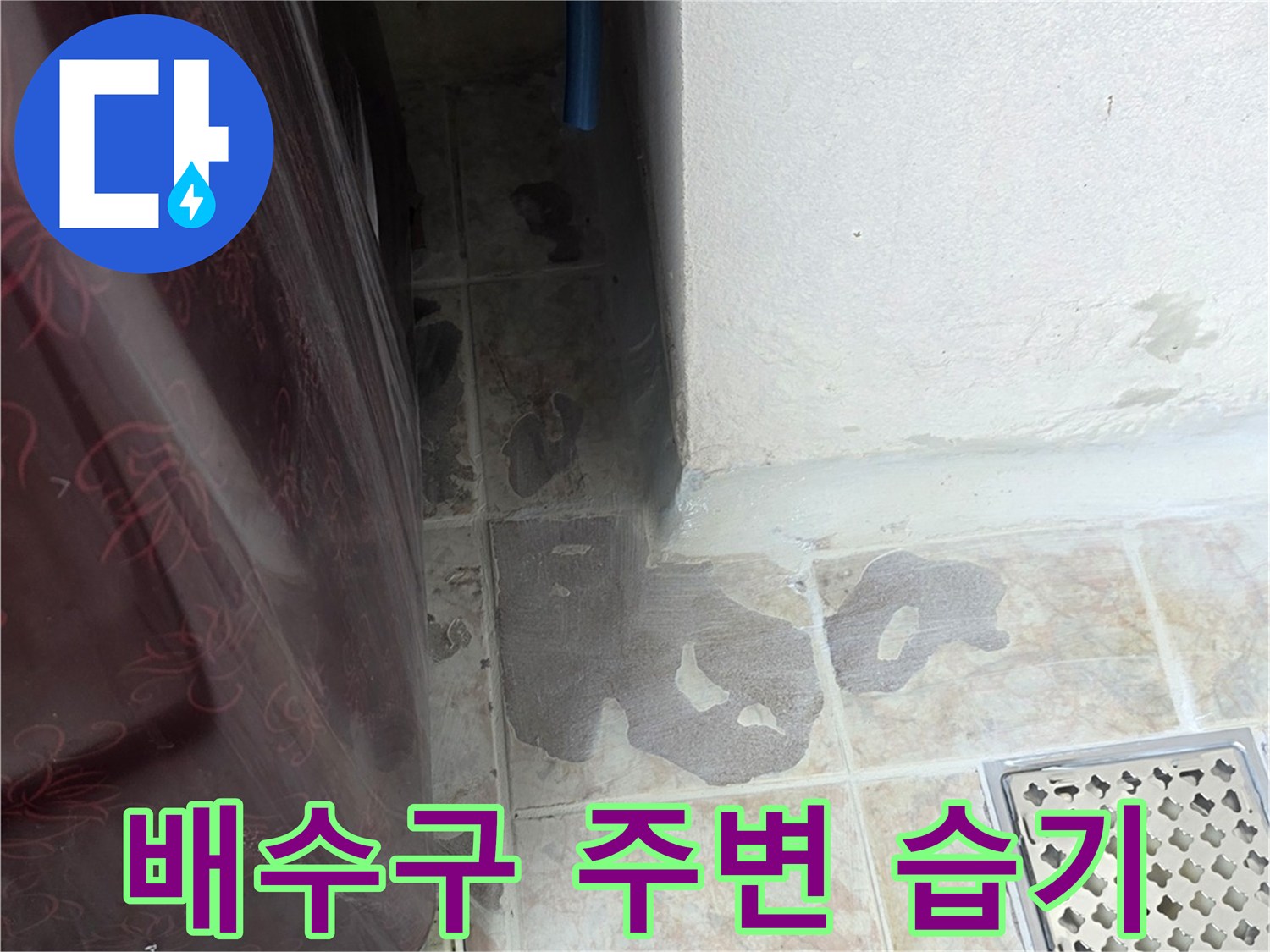 배수구-유가-주변-타일-사이-습윤한-상태