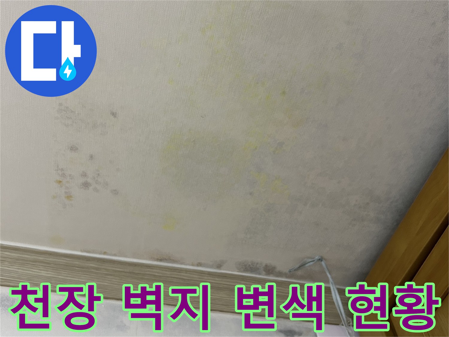 물샘으로 인해 노랗게 번진 천장 벽지 면적