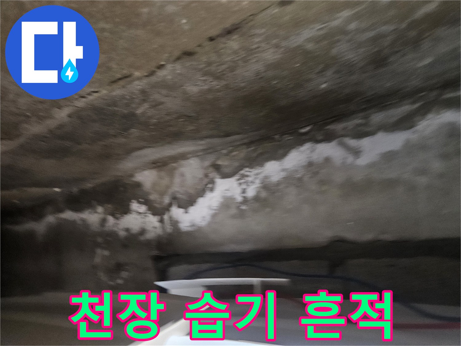 습기가 스며들어 하얗게 일어난 천장 내부 표면