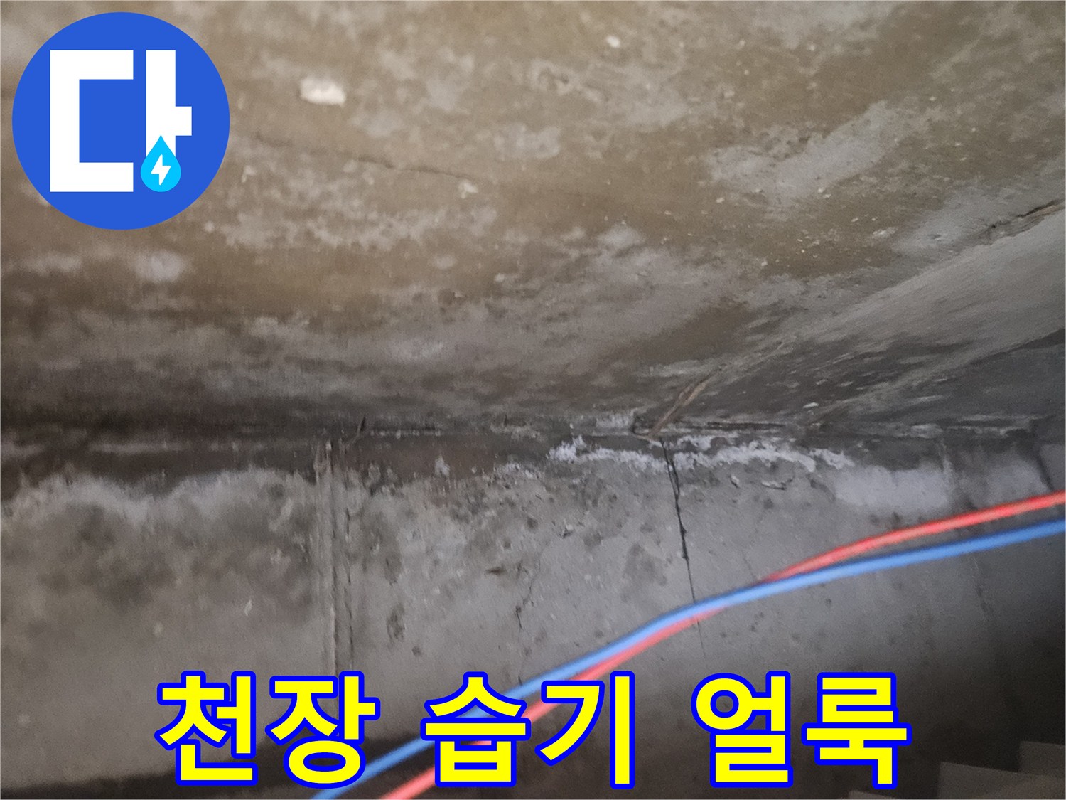 습기로 인해 변색된 천장 표면의 상세 모습