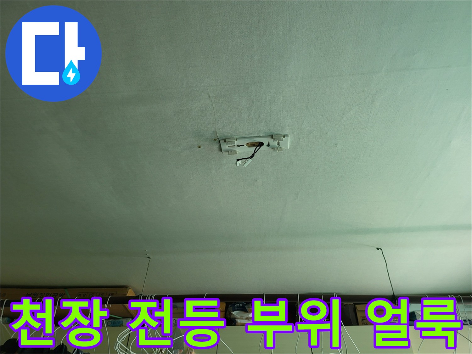 거실 천장 전등 주변의 누수 흔적과 젖은 자국