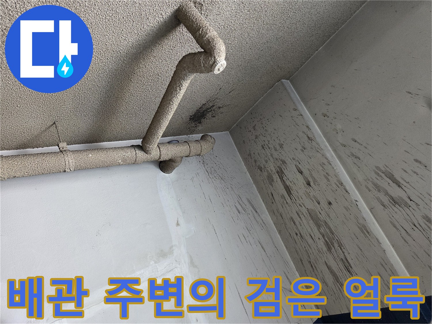 천장 배관 구조와 벽면의 곰팡이성 오염 흔적