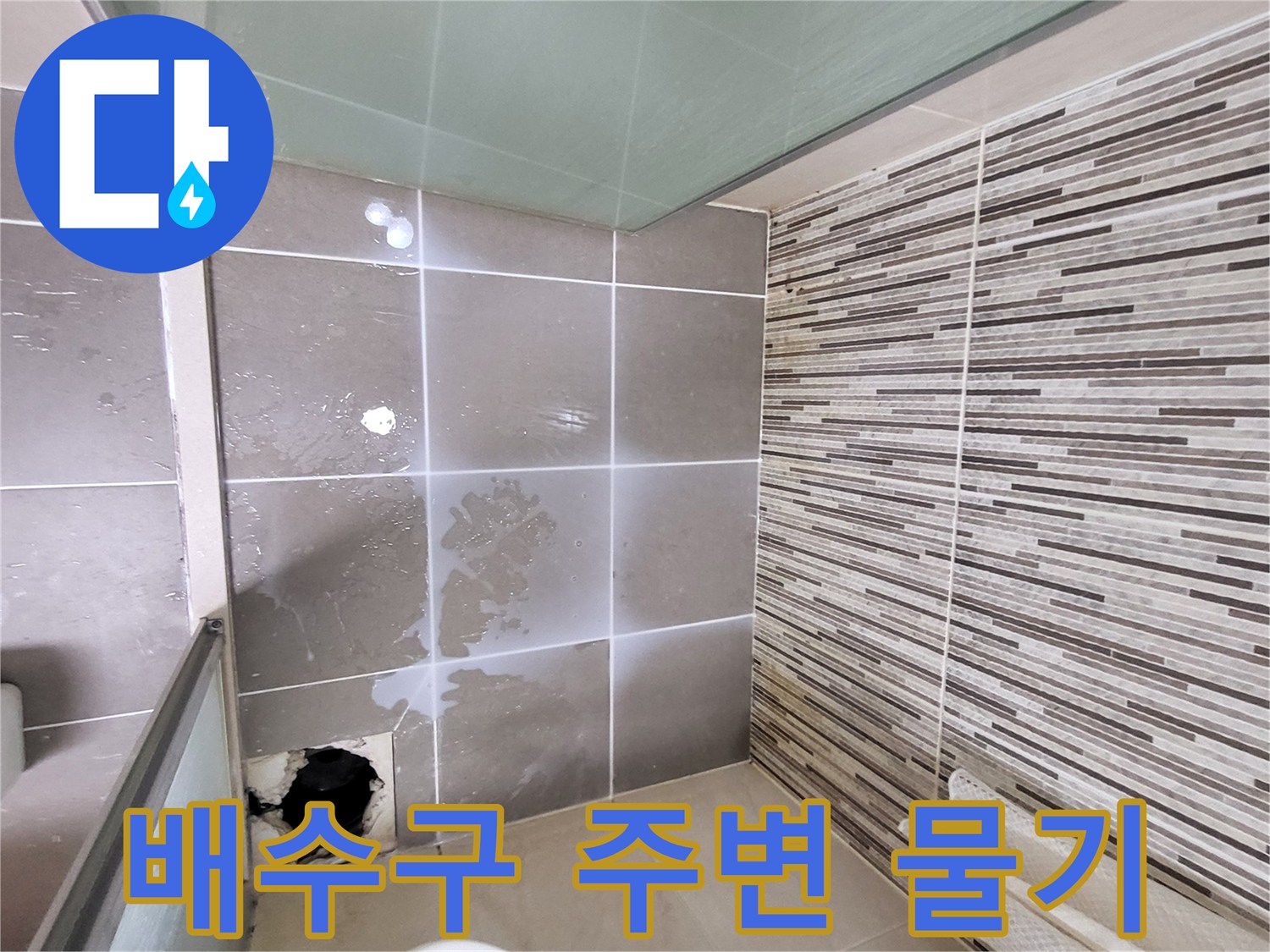 화장실-배수구-틈새-습기-상태