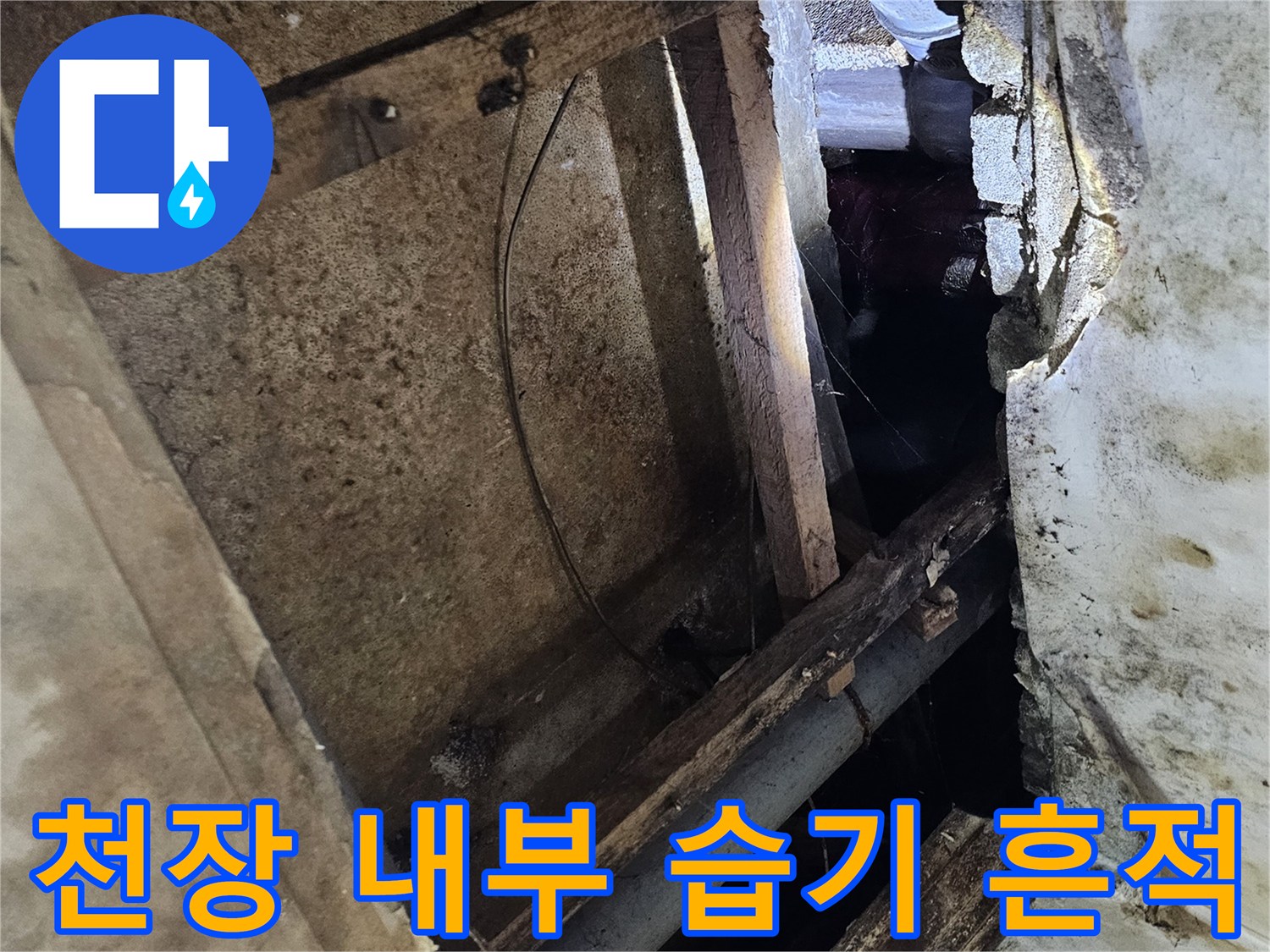 천장-내부-배관-주변의-습윤한-상태-확인