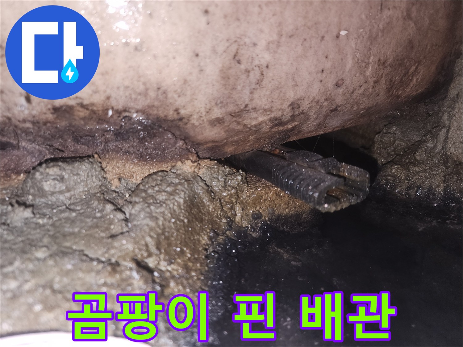 누수-탐지-후-발견된-오염된-배관-상태를-자세히-보여줍니다