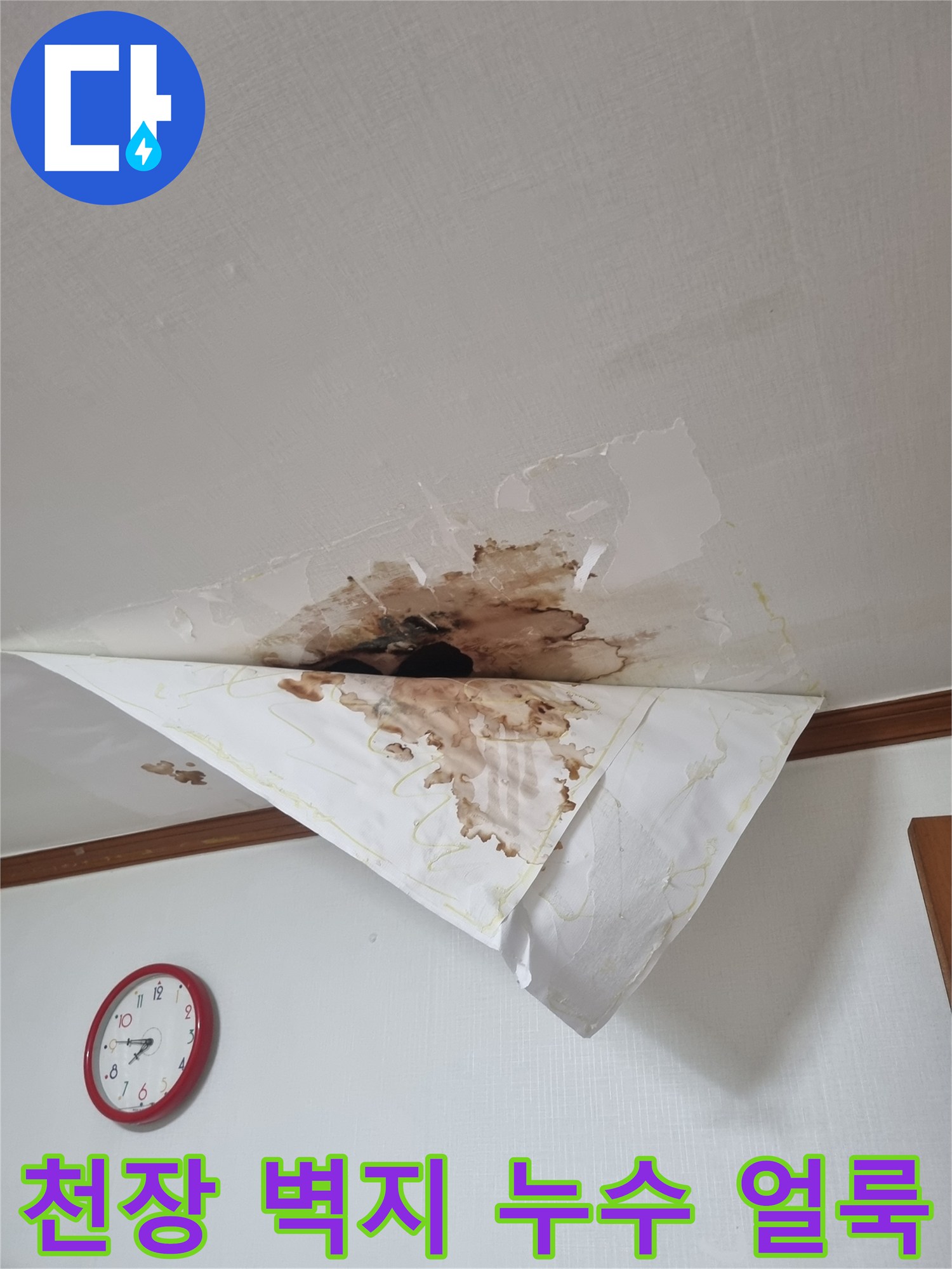 천장 마감재가 물에 젖어 갈색 얼룩이 넓게 퍼진 사진