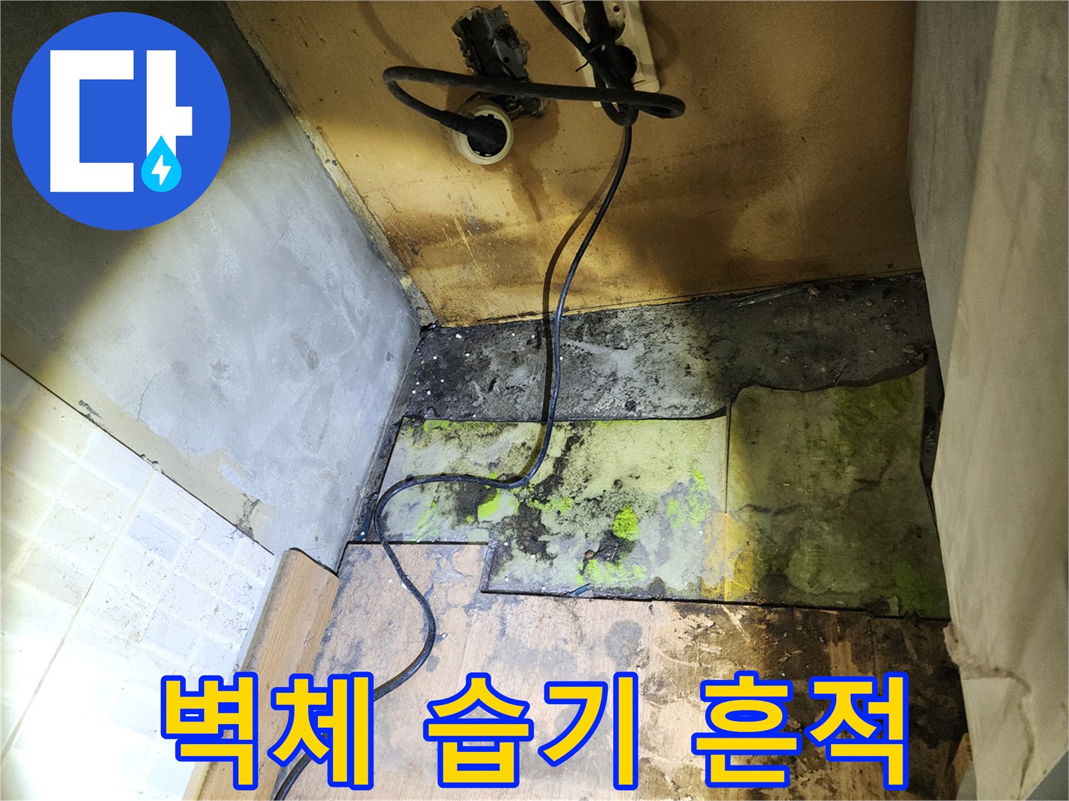 누수 피해 현장-콘센트 주변과 벽면 하단 곰팡이 오염 부위