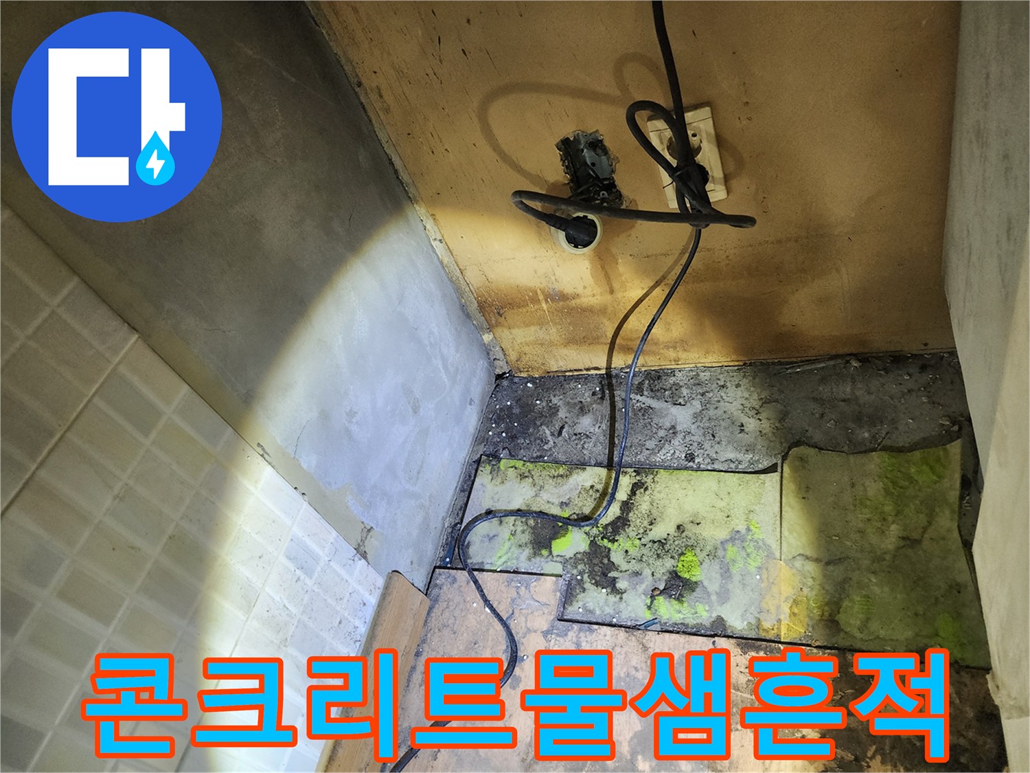 콘크리트 벽체-습기로 인한 곰팡이 번식 상태