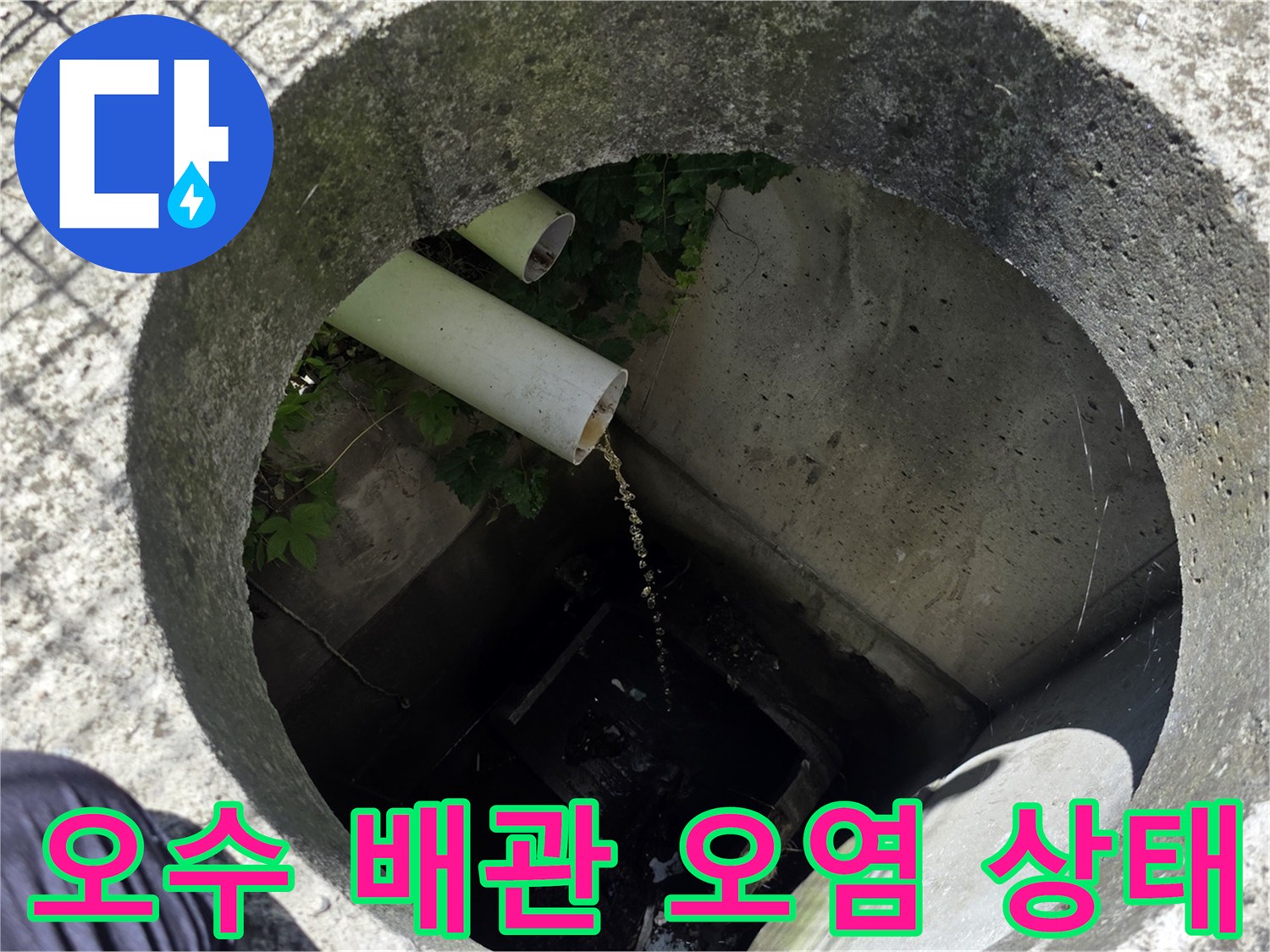 맨홀 안쪽 배관 입구에 쌓인 찌꺼기와 물 흐름