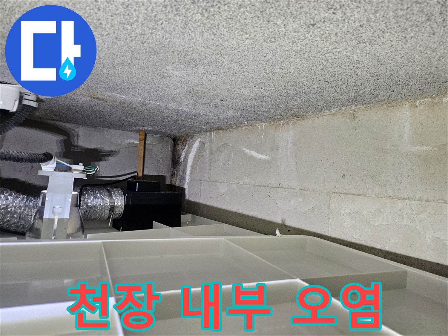 화장실-천장-내부-배관-주변-오염