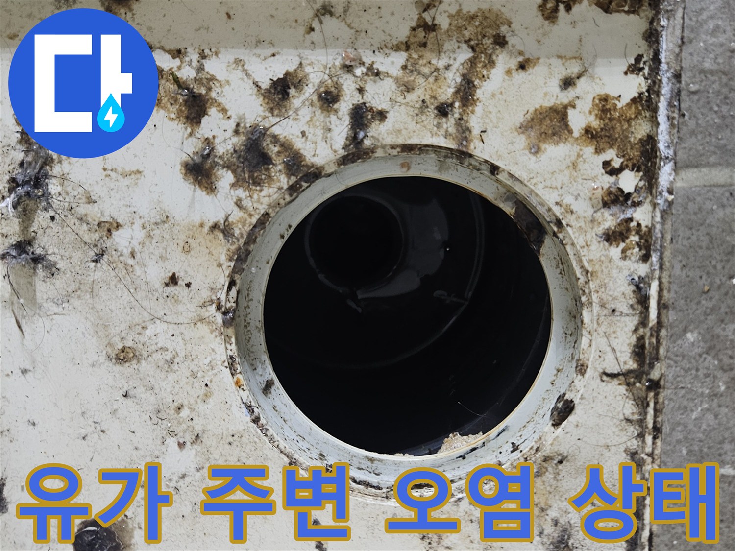 오염된-화장실-배수구-주변-타일-부위