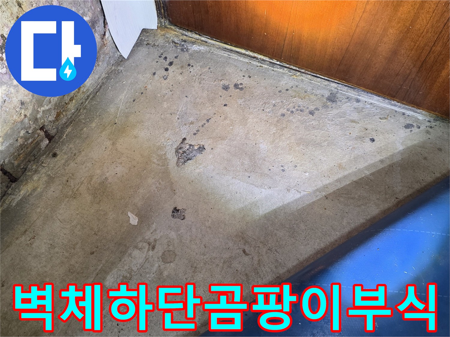 세탁실-벽면-아래쪽의-곰팡이와-부식된-마감재