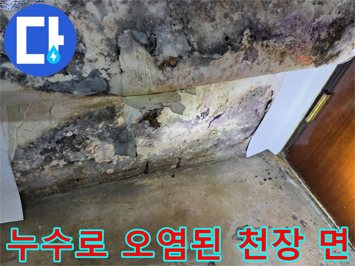 습기로 인해 변색되고 곰팡이가 발생한 천장 부위