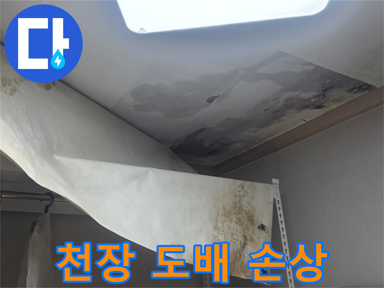 물에 젖어 축 처지고-곰팡이가 번식한-천장 벽지의-심각한 피해 현장입니다