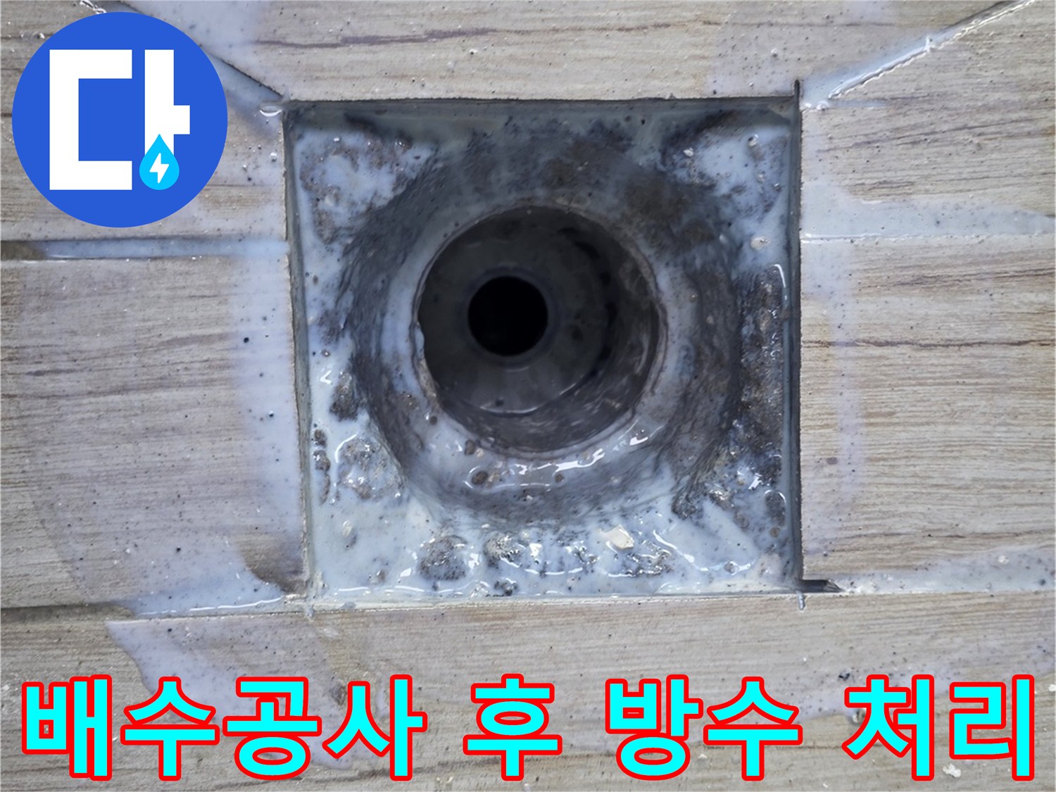 배수구 주변을 꼼꼼하게 매운 모습