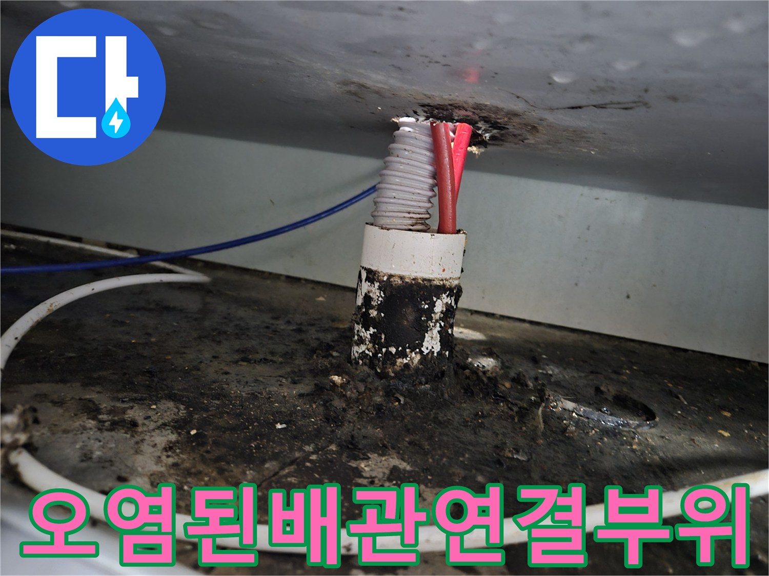 배관-주변의-검은색-곰팡이와-찌꺼기