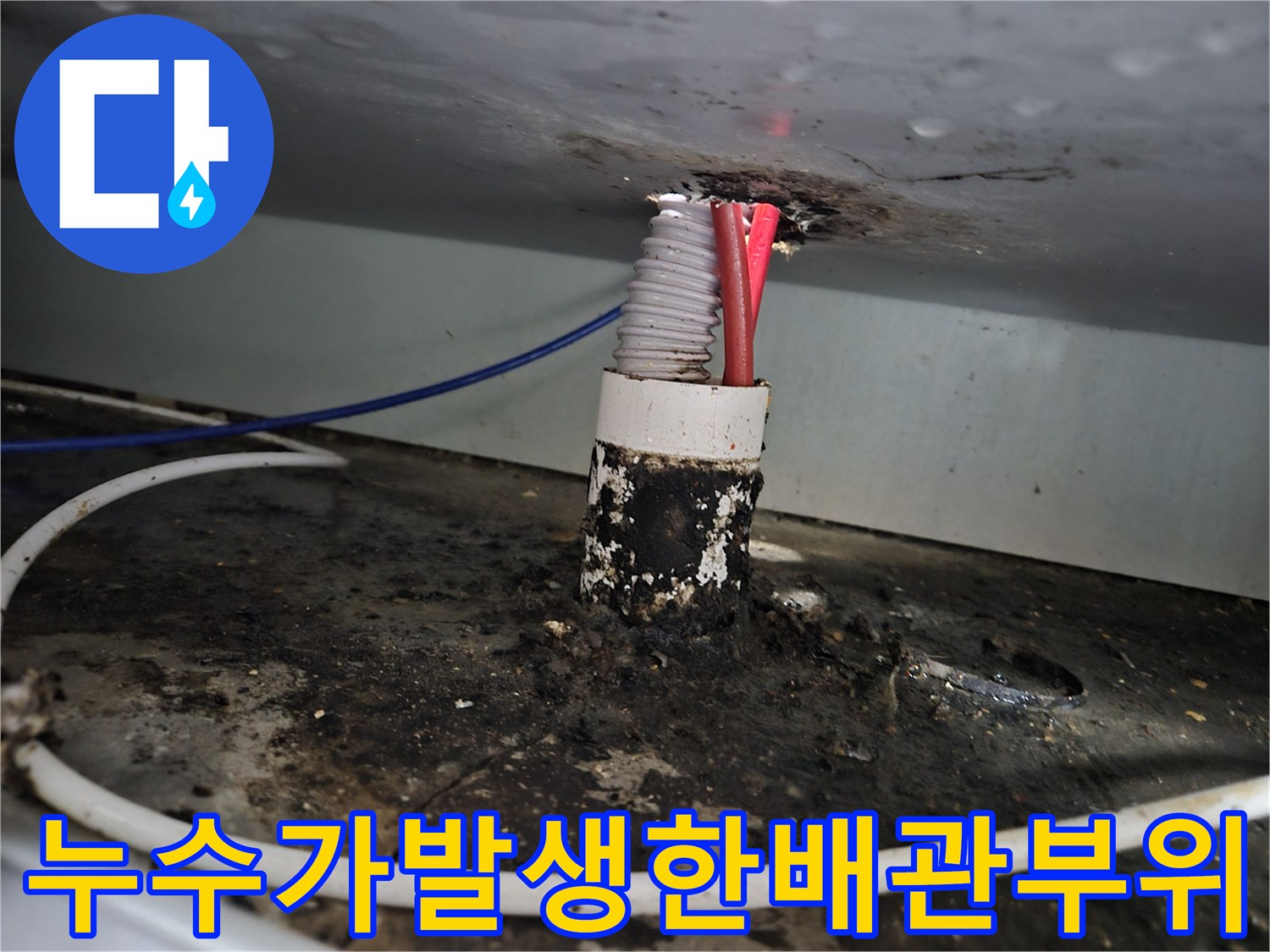 싱크대-하수구-연결-부위-오염-확인