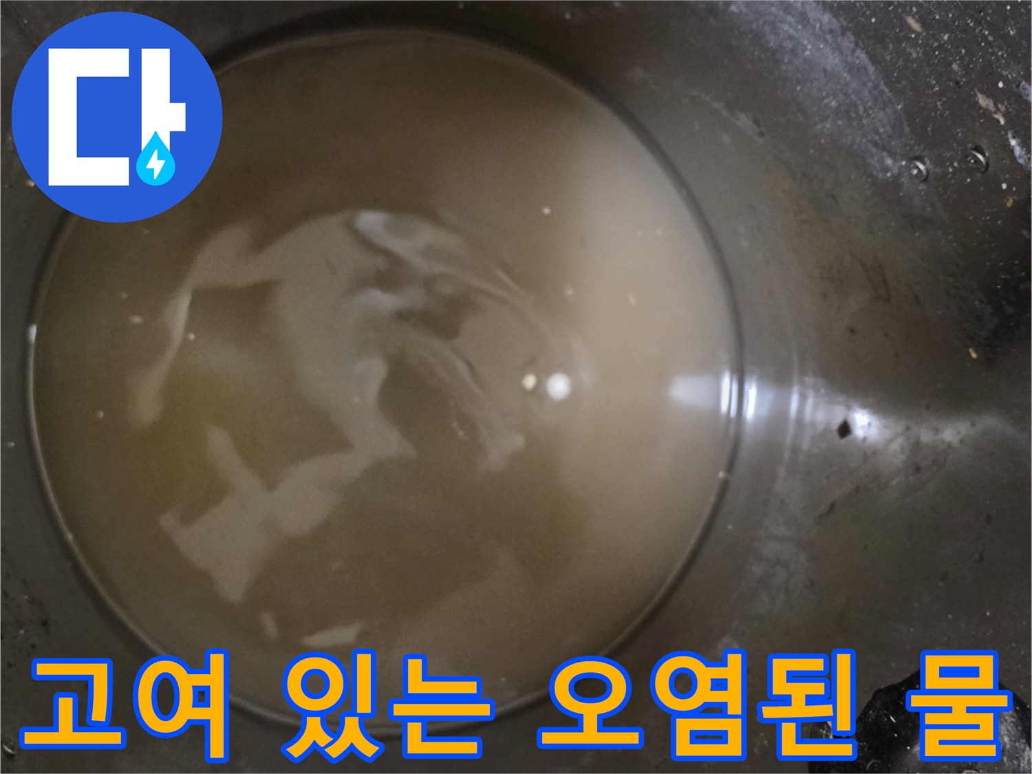 배수구-안에-차있는-불투명한-상태의-물