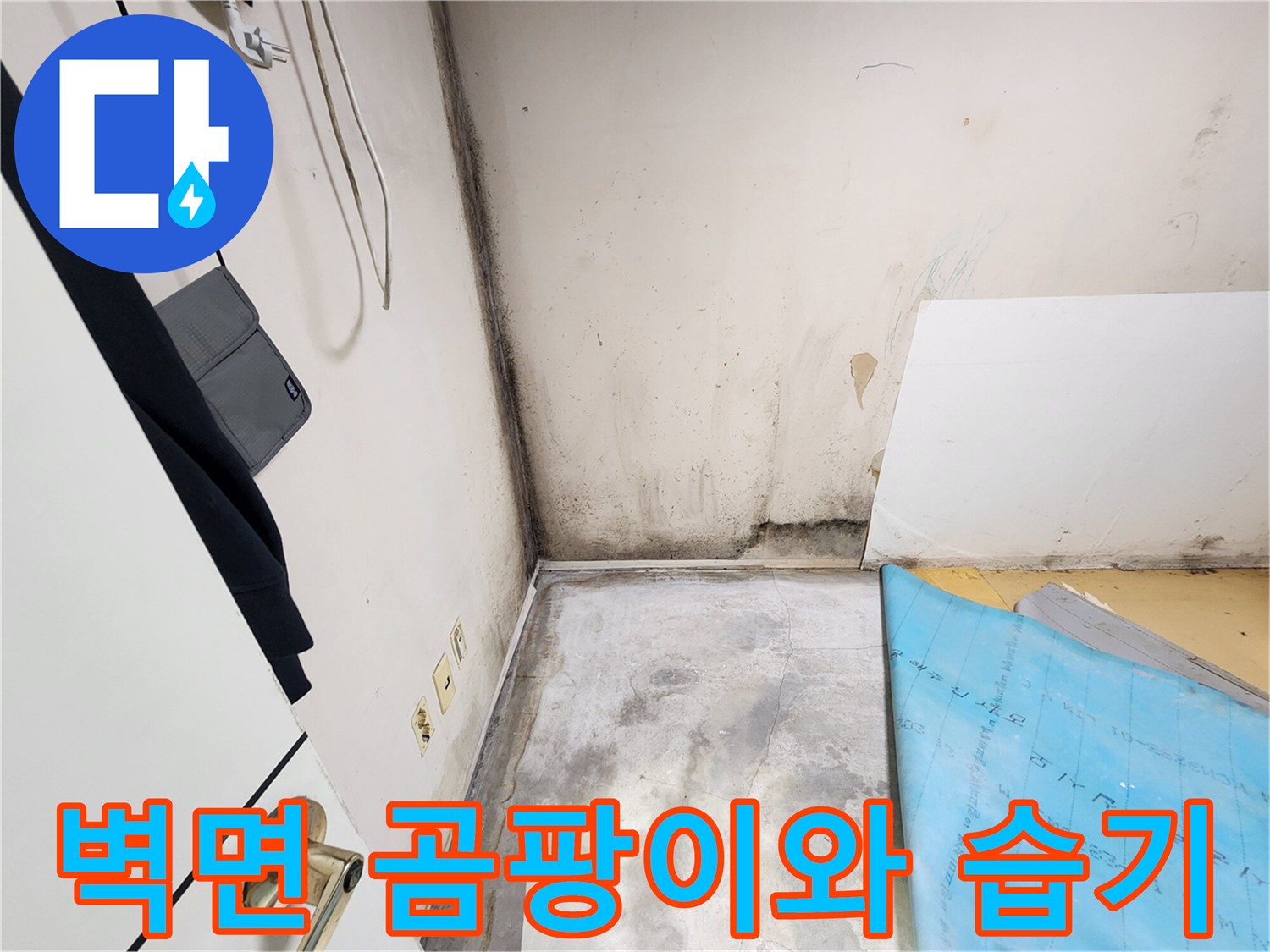 울산 중구 현장-벽면 곰양과 하단 습기 상태