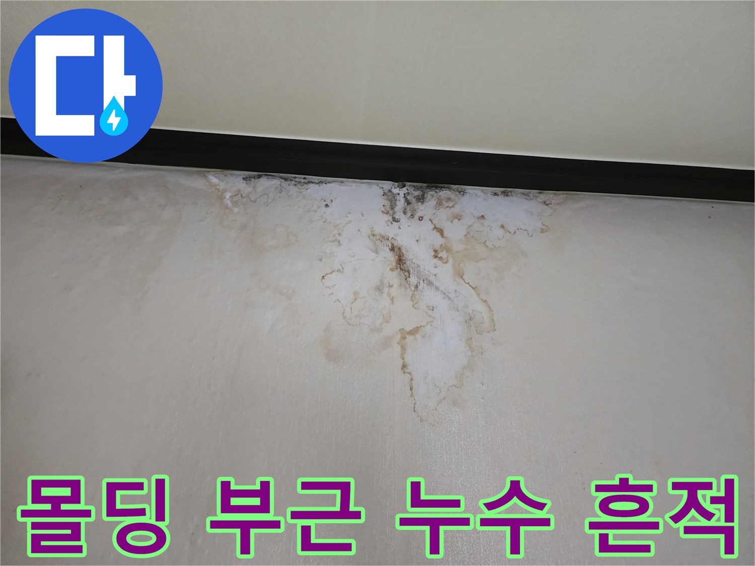 천장 몰딩 경계면의 젖은 얼룩과 변색