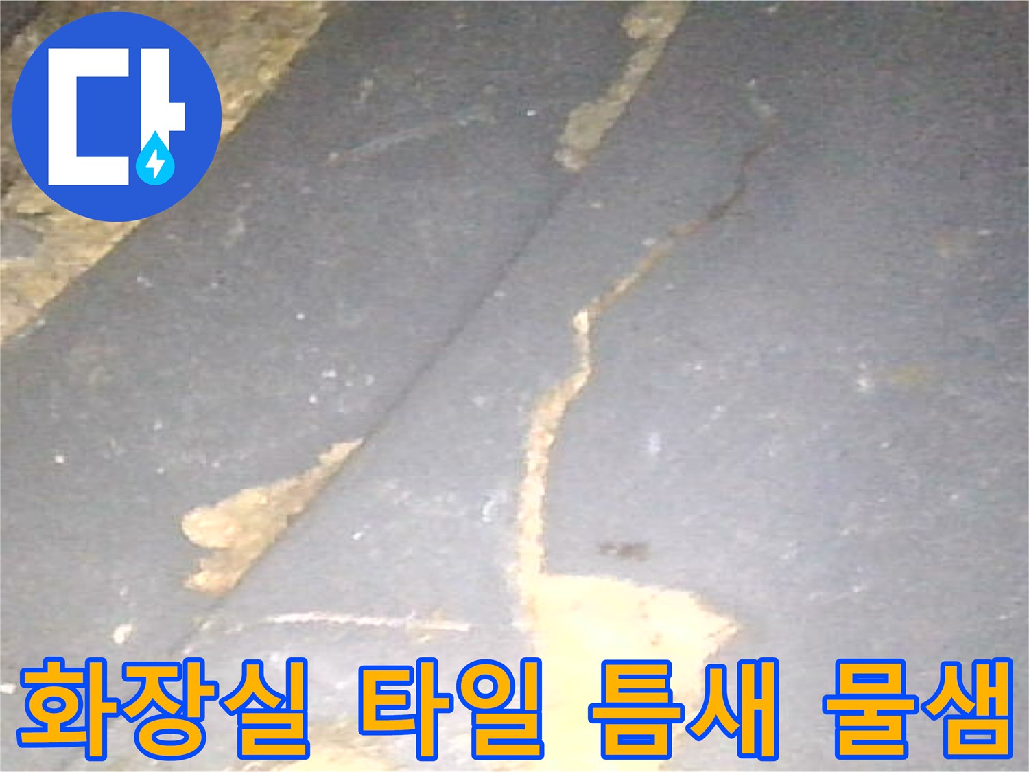 배수구-유가-주변부의-노후된-타일-및-방수층