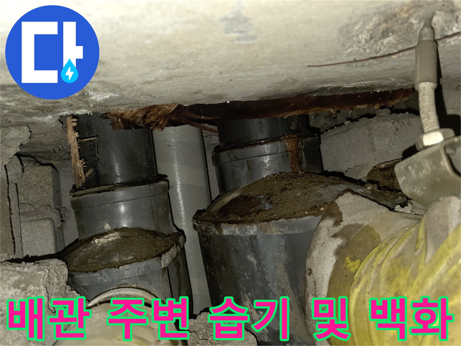 천장-배관-연결부-백화-및-습기-상태