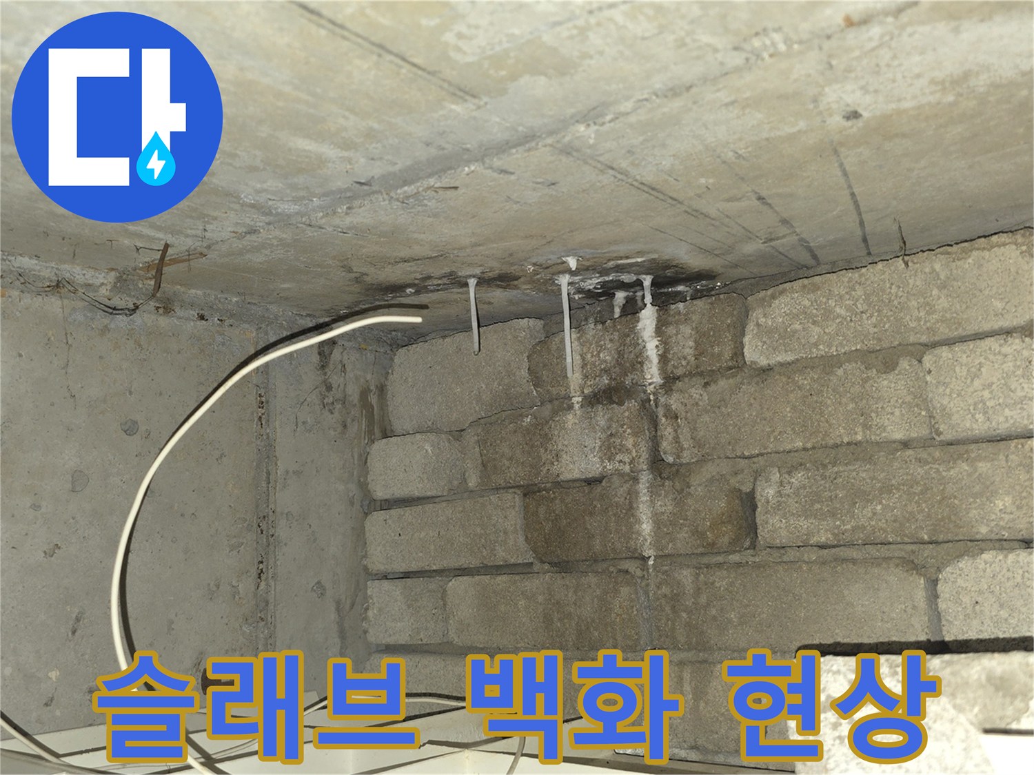 천장 콘크리트-백화로 오염된 슬래브 표면
