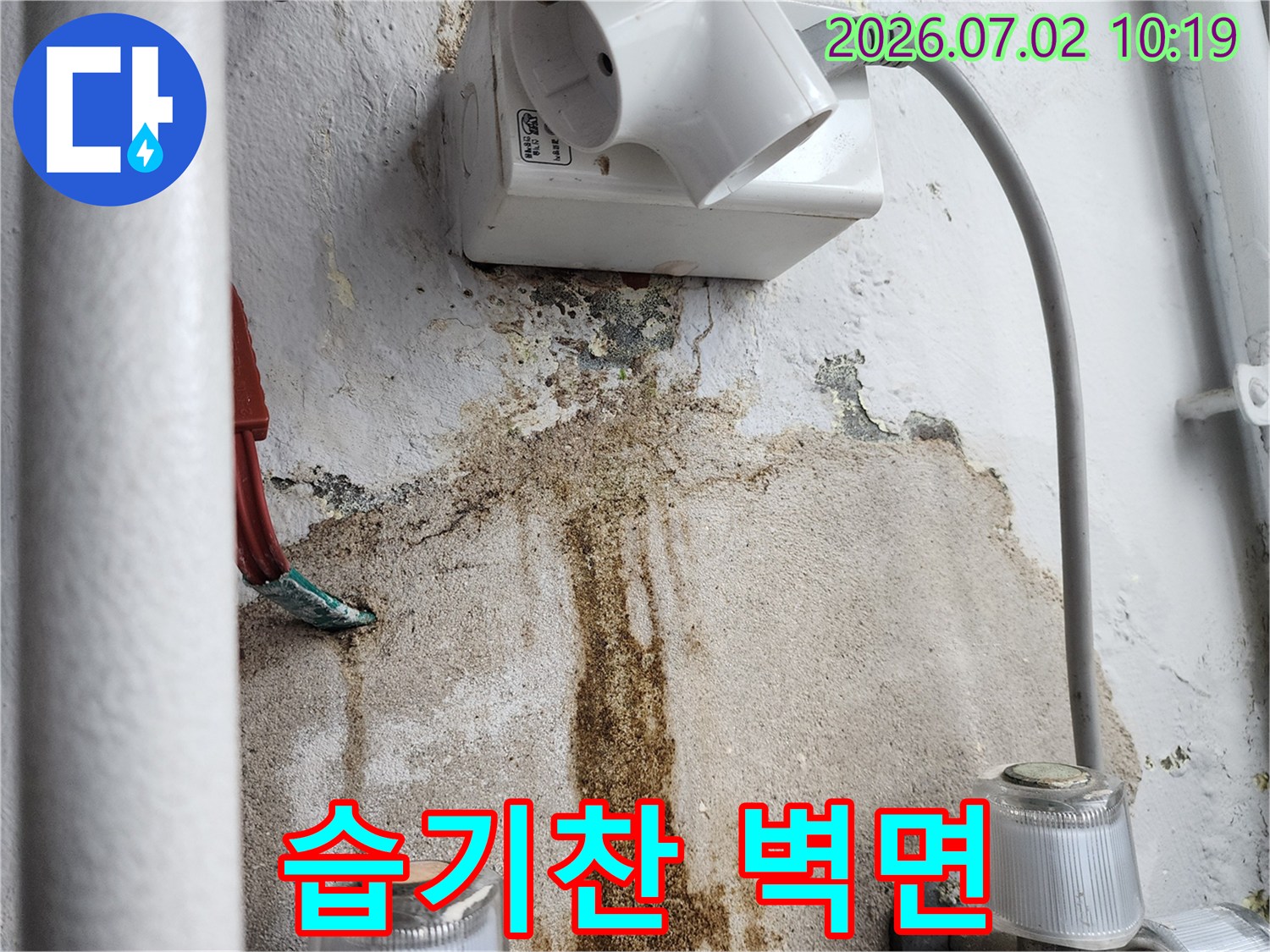 습기로-인해-벽지가-손상되고-곰팡이가-번진-모습