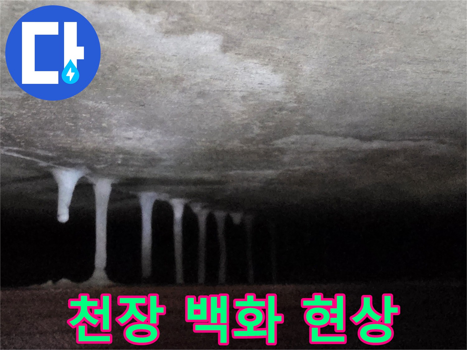콘크리트 천장에서 흘러나온 하얀 석회물 고드름