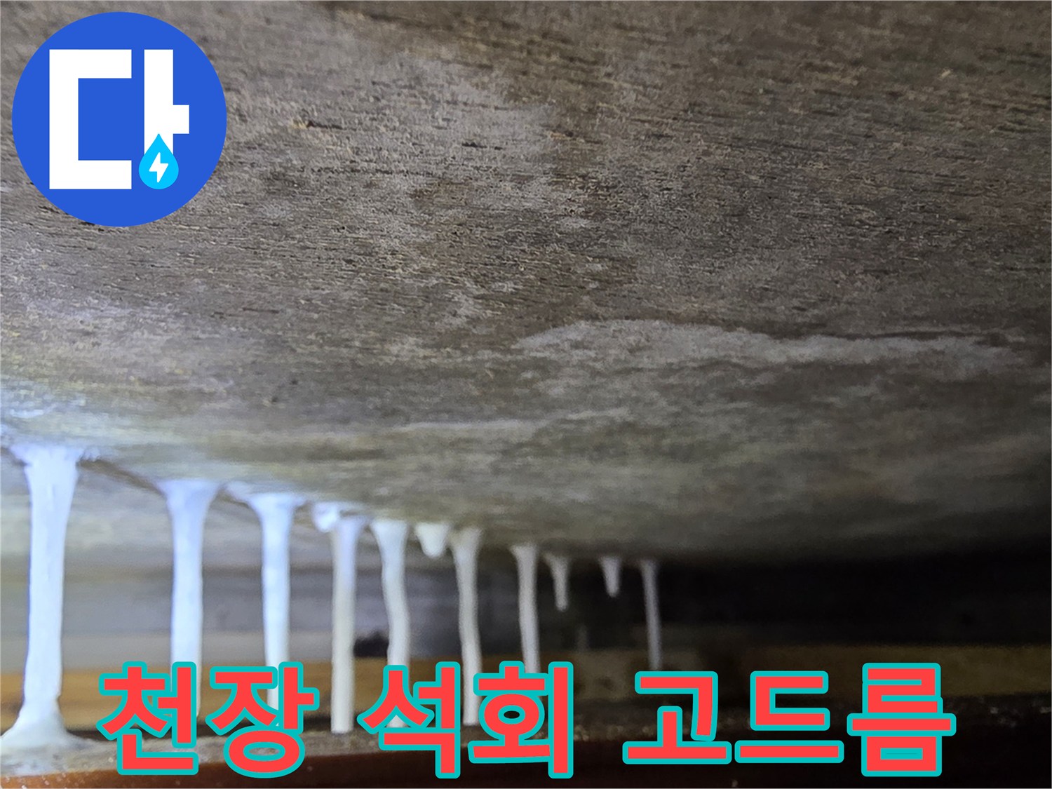 콘크리트 천장에서 흘러나온 하얀 석회물 고드름 현상