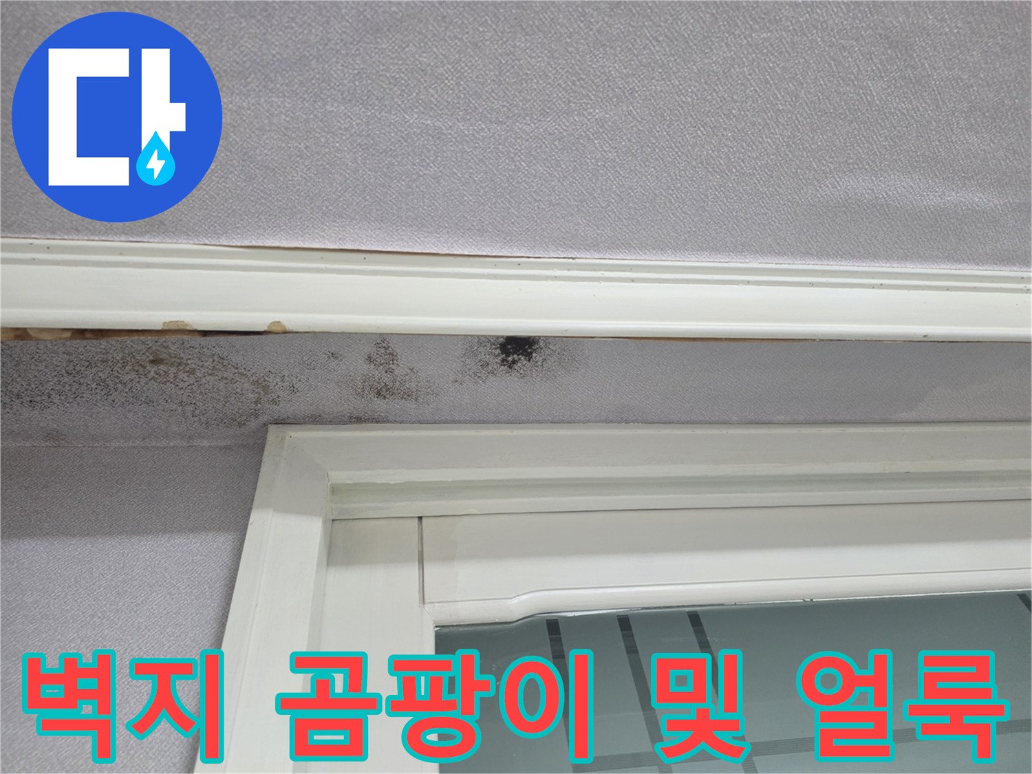 천장 몰딩 하단-벽지 곰팡이 발생 상태