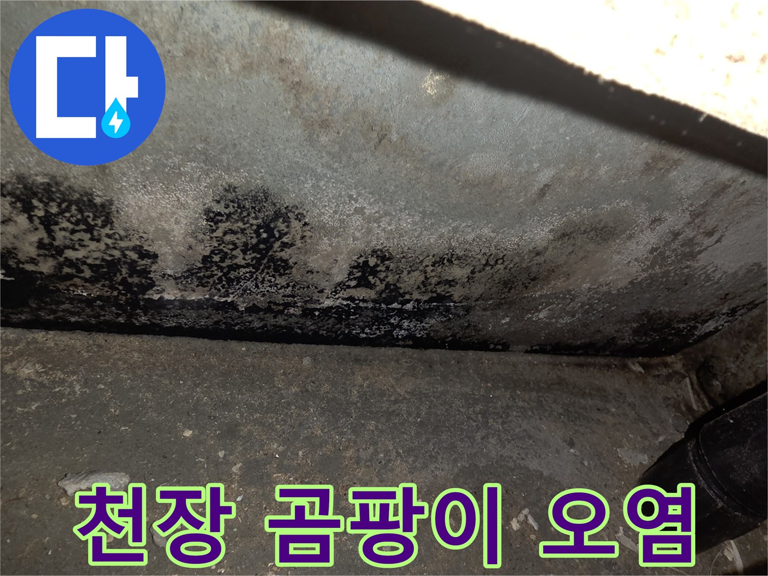 물샘 흔적과 함께 나타난 천장 곰팡이 부위