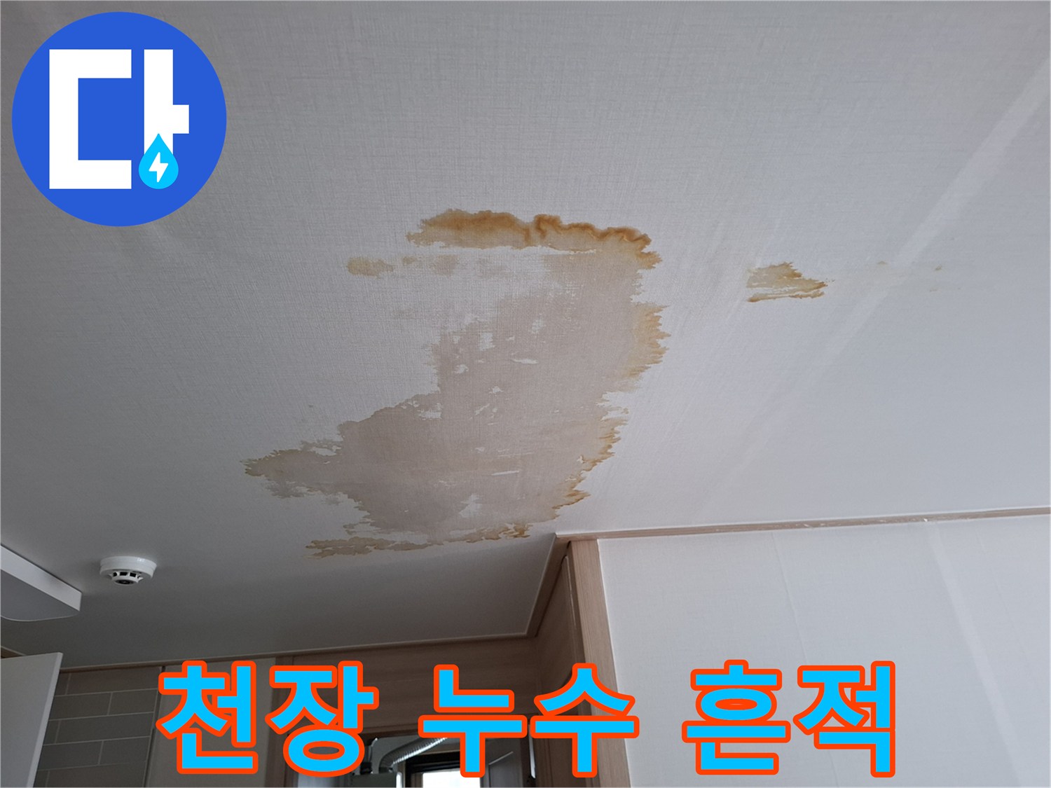 천장에 발생한 넓은 범위의 누수 얼룩