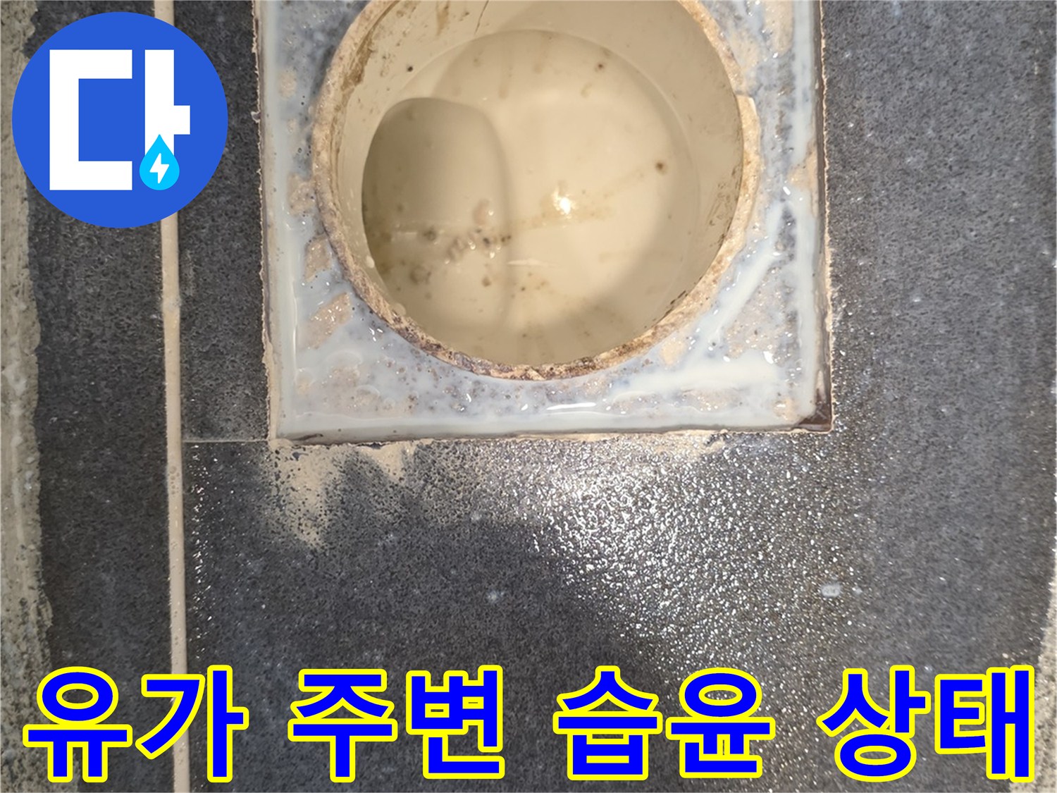 물에 젖은 배수구 주변 타일과 배관 사이의 모습