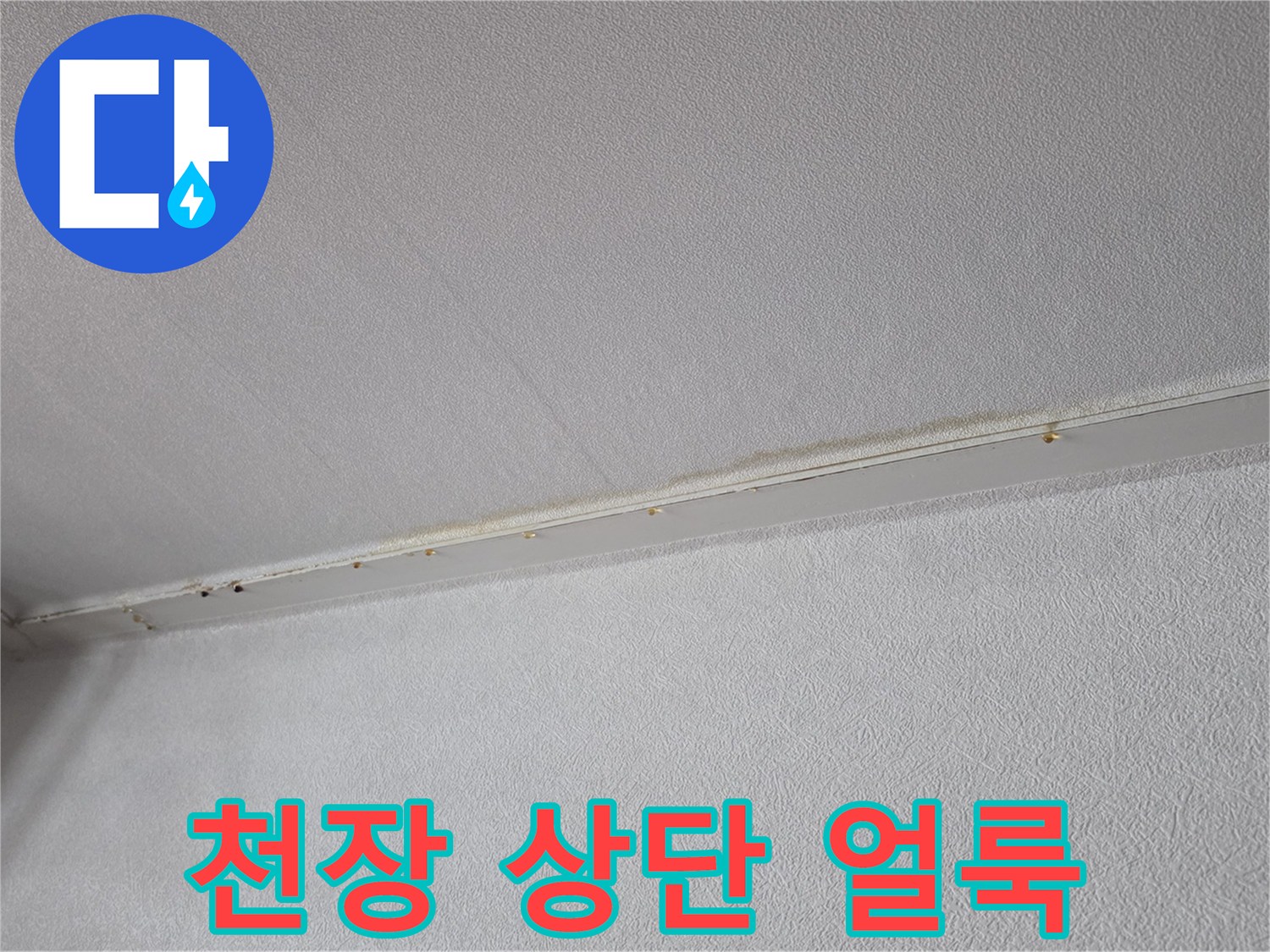 천장 가장자리-벽면 경계의-물자국 변색